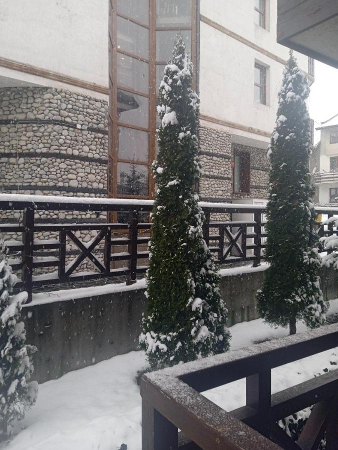Mila Vip Apartment Bansko Exterior foto